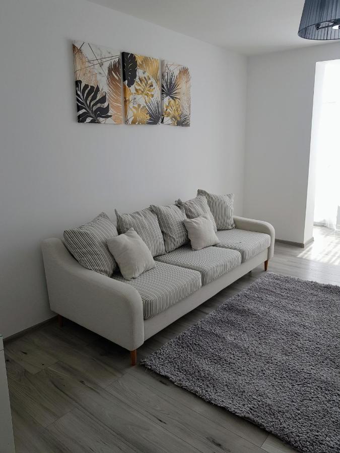 Alexa Apartament Targu Mures Ngoại thất bức ảnh