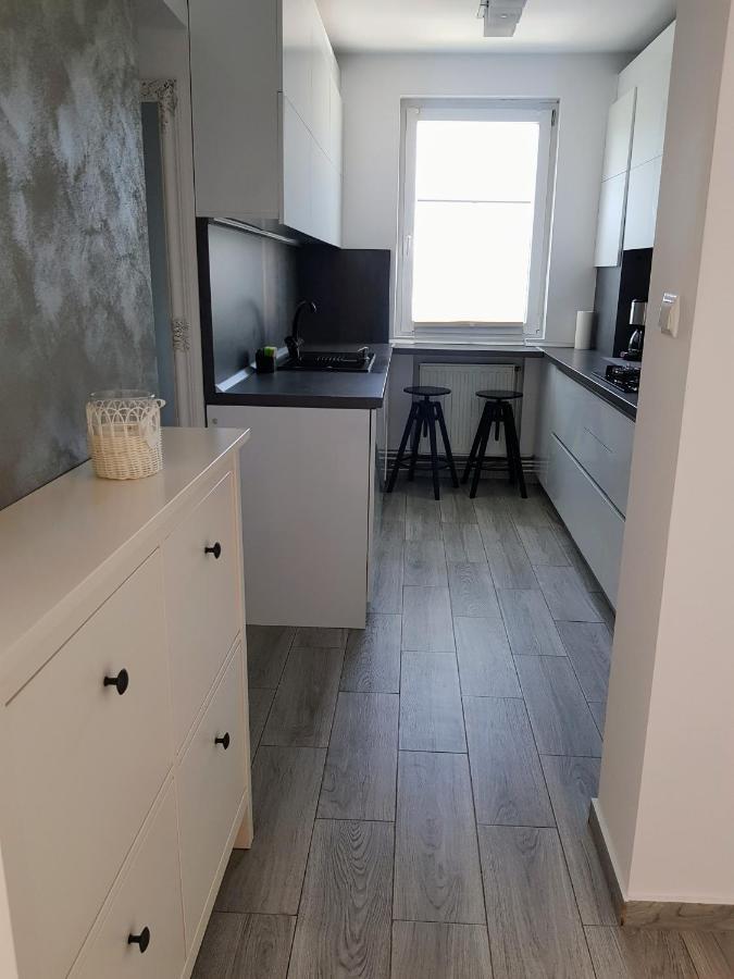 Alexa Apartament Targu Mures Ngoại thất bức ảnh