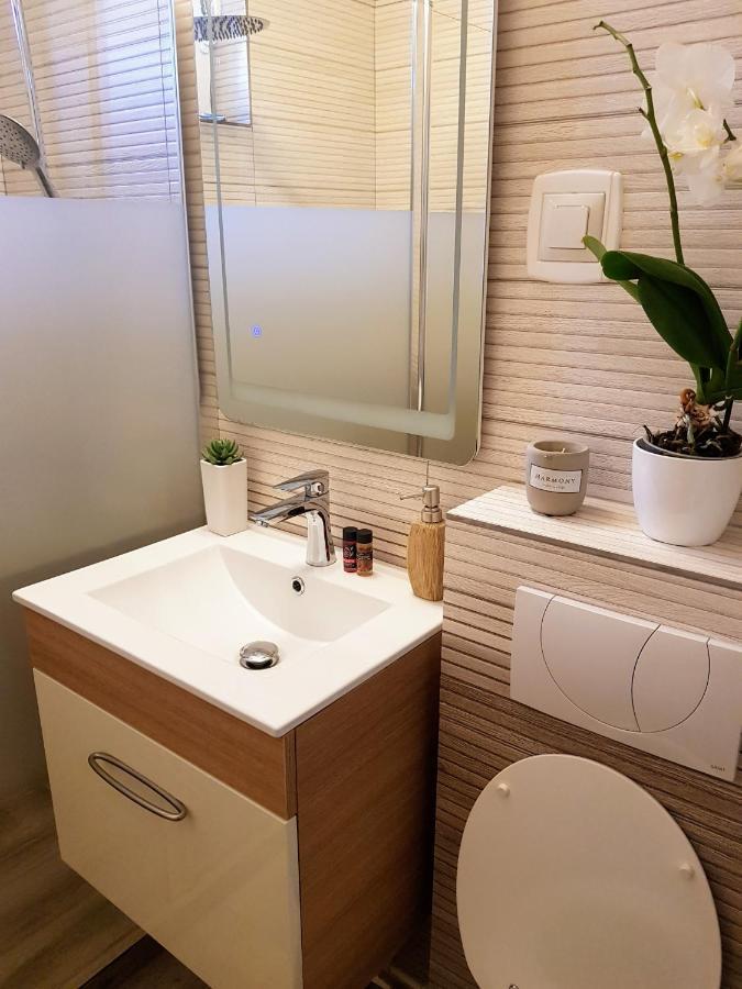 Alexa Apartament Targu Mures Ngoại thất bức ảnh